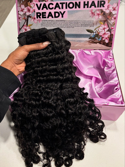 Burmese Curly Bundle Deal