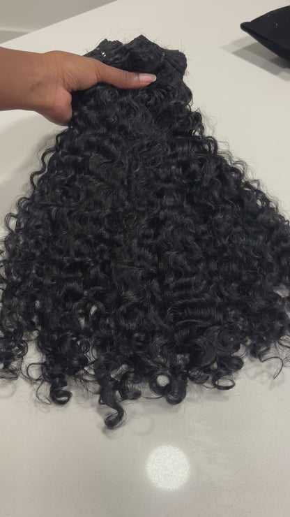 Raw Burmese Curly